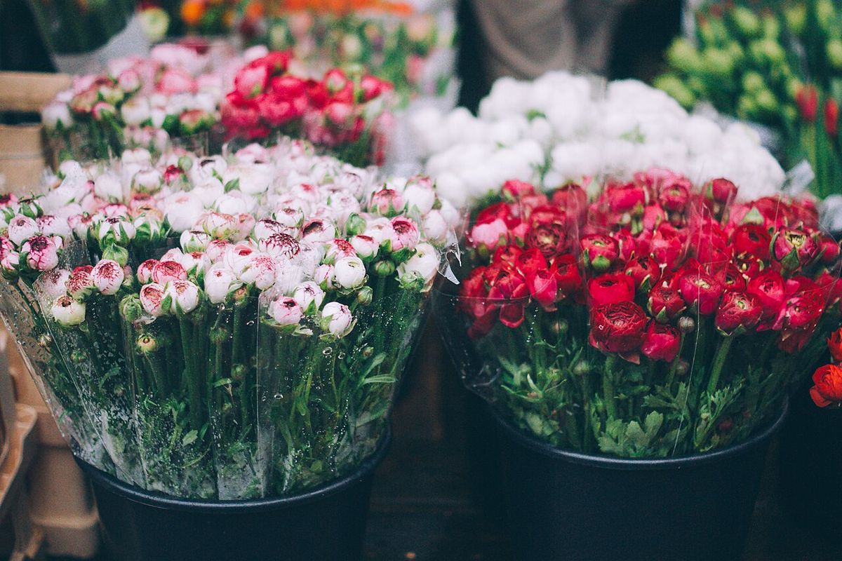 Roses chez le fleuriste